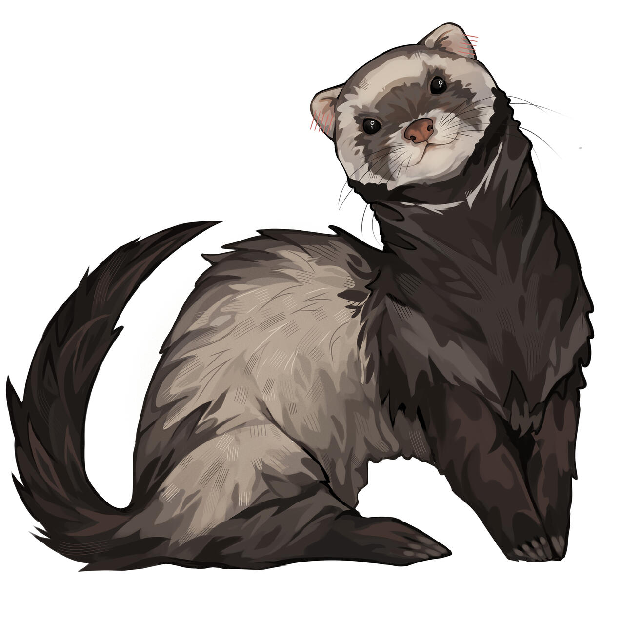 Ruby - #I011\nDark-Eyed White